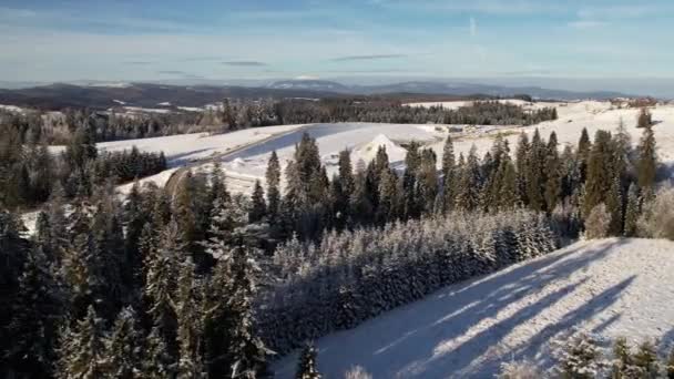 空中ビューと冬の風景や建設現場 雪の丘や広い山の範囲のパノラマビューに森のキャップ 手付かずの冬の風景をスタント — ストック動画