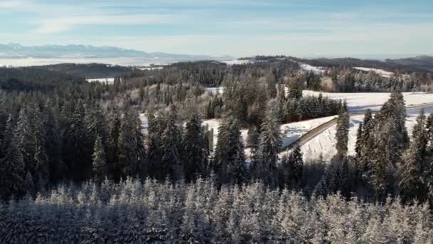 Inverno Paisagem Canteiro Obras Com Maquinaria Pesada Vista Aérea Floresta — Vídeo de Stock