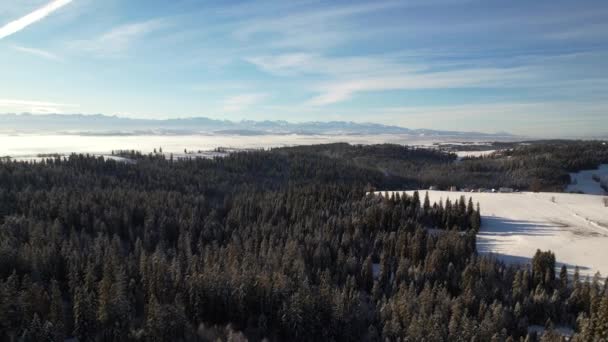 Winter Landscape Aerial View Snow Capped Forest Hill Panoramic View — Stock Video