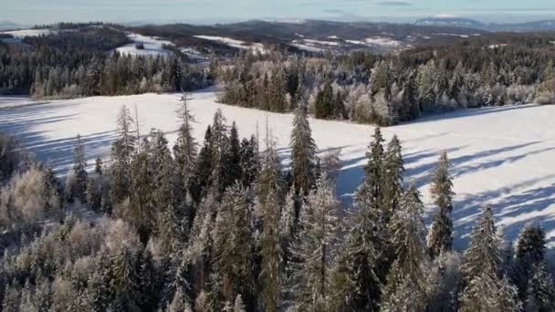 Winter Landscape Aerial View Snow Capped Forest Hill Panoramic View — Vídeo de Stock