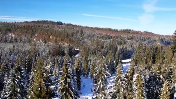 魔法の雪の白い冬の風景 山の中で雪のキャップキャビンの空中ビュー 冬の森の真ん中にある美しい山のシャレーや小屋は雪で覆われています クリスマスルック — ストック動画