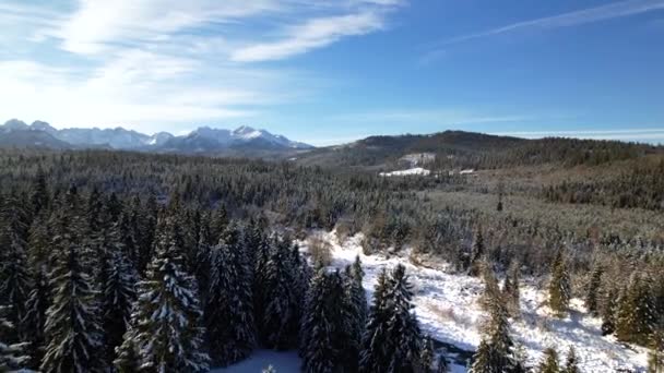 Escenario Invierno Blanco Nevado Mágico Vista Aérea Cabañas Cubiertas Nieve — Vídeo de stock