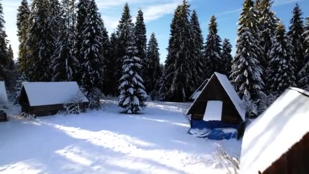 Magisch Besneeuwde Witte Winterlandschap Luchtfoto Van Besneeuwde Hutten Bergen Prachtige — Stockvideo