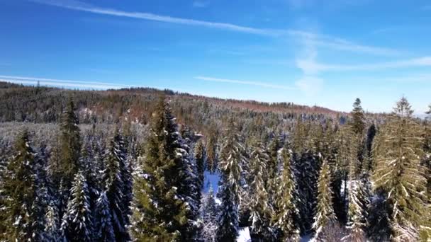 魔法の雪の白い冬の風景 山の中で雪のキャップキャビンの空中ビュー 冬の森の真ん中にある美しい山のシャレーや小屋は雪で覆われています クリスマスルック — ストック動画