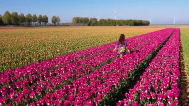 Attractive woman in a nice flowery dress walking through endless tulips field in spring. Aerial view of colorful tulips in bloom. Concept: Tulips in Keukenhof gardens, Netherlands, Holland.