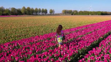 Attractive woman in a nice flowery dress walking through endless tulips field in spring. Aerial view of colorful tulips in bloom. Concept: Tulips in Keukenhof gardens, Netherlands, Holland.