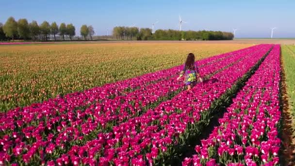 Attractive Woman Nice Flowery Dress Walking Endless Tulips Field Spring — Stockvideo