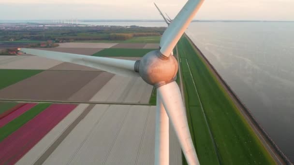 Aerial Close View Wind Turbines Netherlands Working Offshore Wind Farm — Stok video