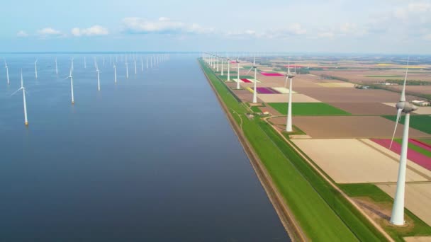 Aerial View Wind Turbines Windpark Noordoostpolder Urk Netherlands Working Offshore — Stock Video