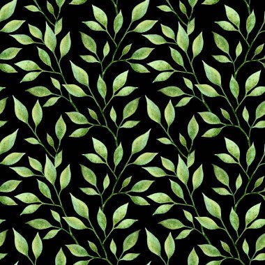 Yeşil suluboya, siyah arka planda pürüzsüz bir iz bırakır. Botanik baskısı