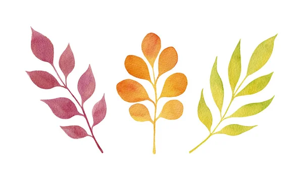 Set Red Orange Green Leaves Isolated White Background Autumn Collection — 图库照片