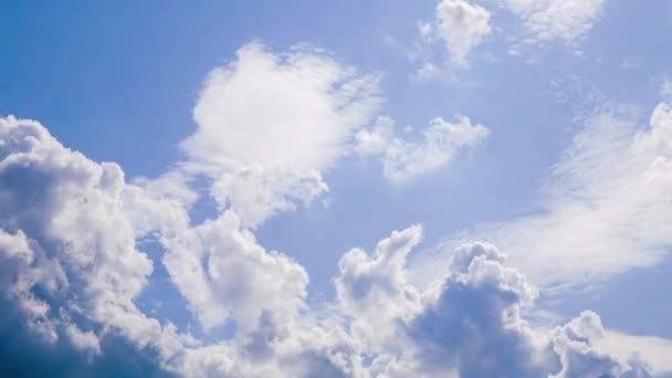 Timelapse Cielo Blu Con Nuvole Nuvole Rapido Movimento — Video Stock