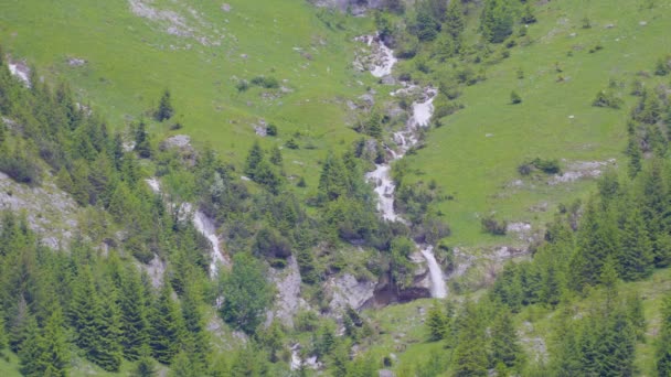 山の中で滝 Niemerstafelbach スイス カントン ウリ州 クラウセンパス州 ウンターシュチェン付近の山の中の岩の高さから滝 — ストック動画