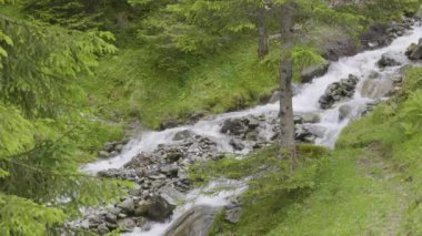 Taşların etrafında akan su. Dağlarda bir dere. Schchental Vadisi, Canton Uri, İsviçre. 