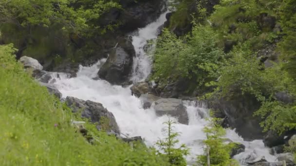 Água Que Flui Torno Pedras Riacho Nas Montanhas Schchental Valley — Vídeo de Stock