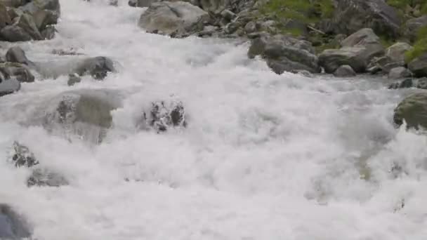 石の周りを流れる水 山の中のクリーク スイスのカントン ウリの精神谷 — ストック動画