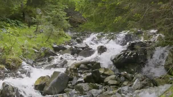 Água Que Flui Torno Pedras Riacho Nas Montanhas Schchental Valley — Vídeo de Stock
