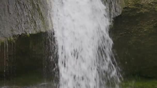 Cachoeira Nas Montanhas Cachoeira Kemptnertobel Perto Kempten Wetzikon Cantão Zurique — Vídeo de Stock