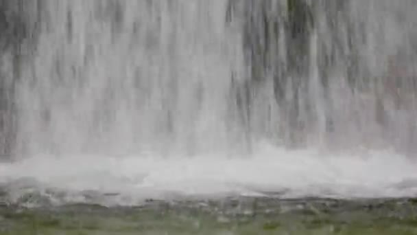 Cachoeira Nas Montanhas Cachoeira Kemptnertobel Perto Kempten Wetzikon Cantão Zurique — Vídeo de Stock