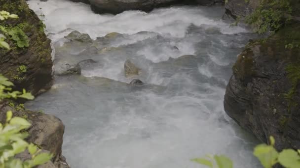 Woda Opływająca Kamienie Strumień Górach Rychenbach Berner Oberland Canton Bern — Wideo stockowe