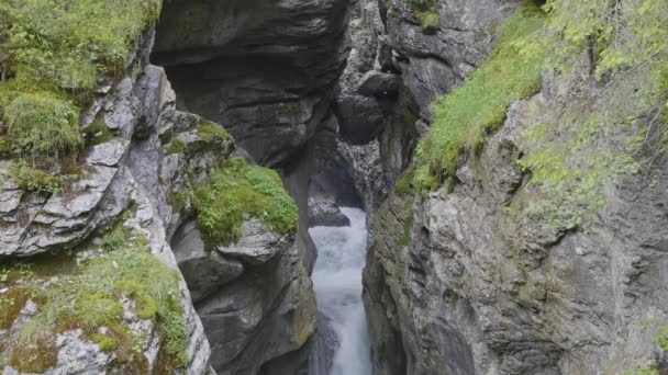 Vatten Rinner Runt Stenar Rosenlaui Glacier Gorge Berner Oberland Kanton — Stockvideo