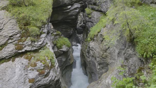 Vatten Rinner Runt Stenar Rosenlaui Glacier Gorge Berner Oberland Kanton — Stockvideo