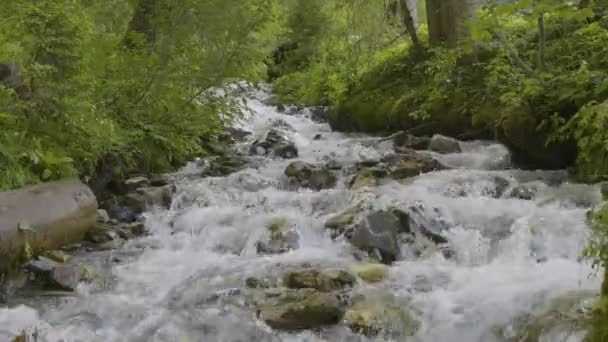 Woda Opływająca Kamienie Potok Górach Pobliżu Rosenlaui Glacier Gorge Berner — Wideo stockowe