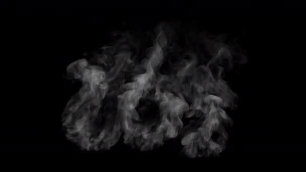 Co2排出量 生態学的概念 黒の背景に火の中にCo2テキスト 煙は手紙から出て行く 3Dレンダリング — ストック動画
