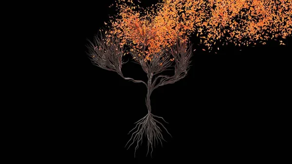 Δέντρο Σχήμα Ανθρώπινου Εγκεφάλου Εποχιακή Μετάβαση Μαύρο Φόντο Οικολογικό Νόημα — Φωτογραφία Αρχείου