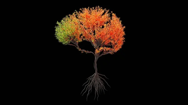 Δέντρο Σχήμα Ανθρώπινου Εγκεφάλου Εποχιακή Μετάβαση Μαύρο Φόντο Οικολογικό Νόημα — Φωτογραφία Αρχείου
