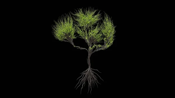 Baum Der Form Eines Menschlichen Gehirns Saisonaler Übergang Auf Schwarzem — Stockfoto