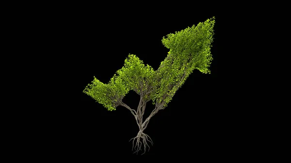 Дерево Формі Стрілки Бізнес Інвестиції Зростають Екологічна Концепція Візуалізація — стокове фото