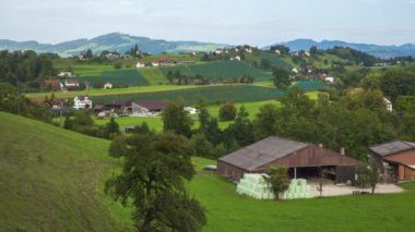 Zaman aşımı, yamaçlı kırsal alan, şarap bahçeleri ve otlayan inekler. İsviçre 'de St. Gallen Kantonu.