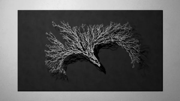 Tree Concept Black White Background Rendering — Zdjęcie stockowe
