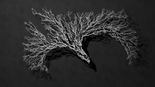 Tree Concept Black White Background Rendering — Stock Photo, Image