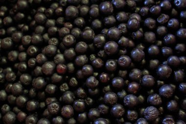Yaban mersini. Aronia çilekleri. Chokeberry, Aronia geçmişi. Çilek. Taze toplanmış meyveler. Aronia melanocarpa ya da böğürtlen arkaplanı. Kapatın. Makro.