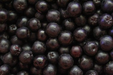 Yaban mersini. Aronia çilekleri. Boğaz üzümü, aronya arkaplan meyvesi. Meyveler. Çilek. Taze toplanmış meyveler. Aronia melanocarpa ya da böğürtlen arkaplanı. Kapatın. Makro.