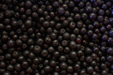 Yaban mersini. Aronia çilekleri. Boğaz üzümü, aronya arkaplan meyvesi. Meyveler. Çilek. Taze toplanmış meyveler. Aronia melanocarpa ya da böğürtlen arkaplanı. Kapatın. Makro.