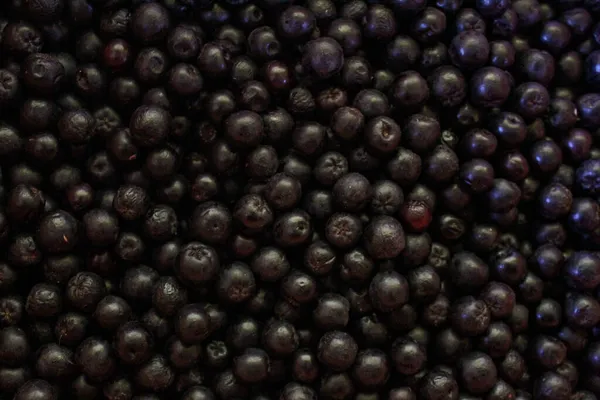 Chokeberry Bessen Aronia Bessen Chokeberry Aronia Achtergrondfruit Vruchten Bessen Pas — Stockfoto