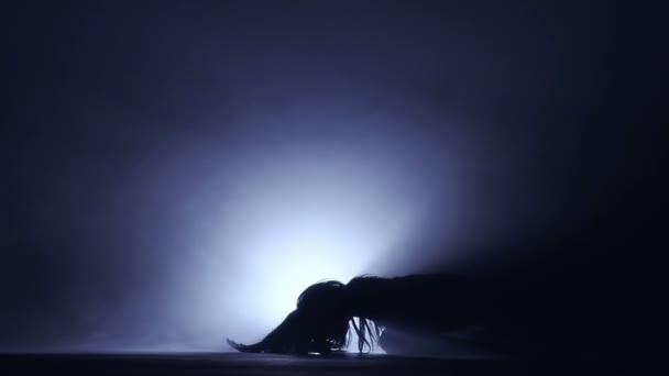 Seksi gece kulübüne dansçı — Stok video