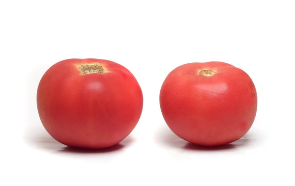 Twee rijpe tomaten — Stockfoto