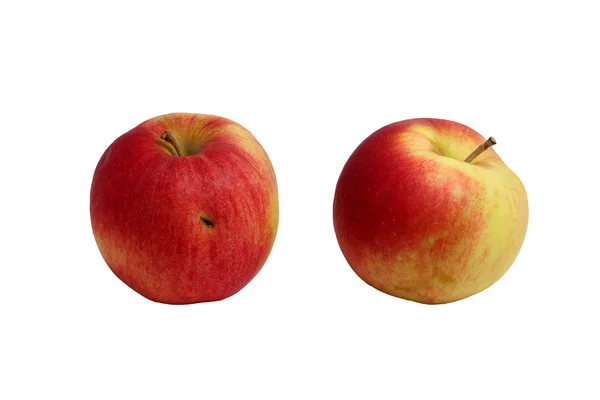 Zwei ukrainische rote Äpfel — Stockfoto
