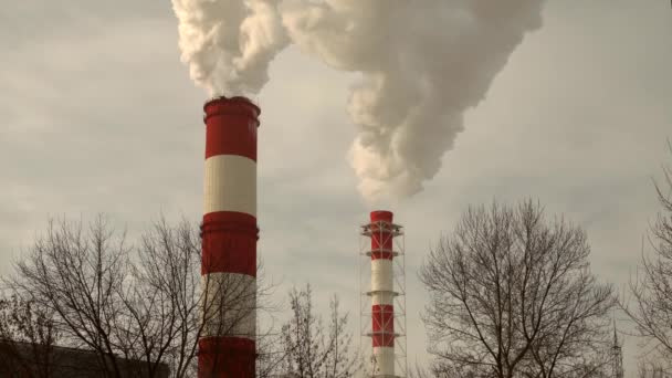 Een Energiecentrale Apparatuur Van Elektrische Centrales Witte Rook Uit Een — Stockvideo