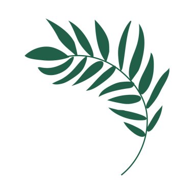 Yeşil tropikal terk Palmiye ağacı