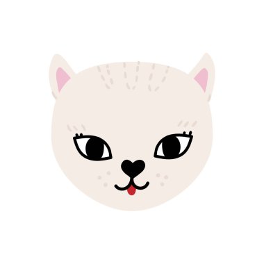 Büyük gözlü ve güneş gözlüklü sevimli bir kedi.