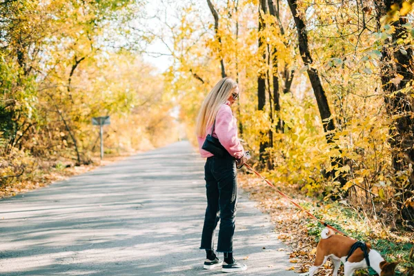 Молодая Женщина Гуляла Собакой Осеннем Парке Возле Дороги — стоковое фото