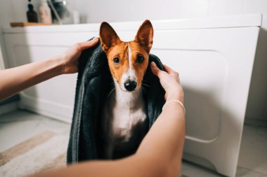 Genç bir kadın banyo yaptıktan sonra köpeğini havluyla kurutuyor..