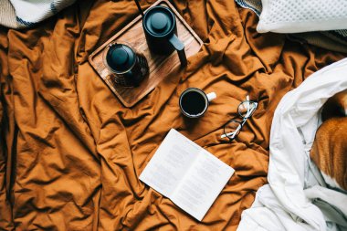 Üzerine dökülen bir kahve ve yatakta açık bir kitapla ahşap bir tahtanın üzerinde çaydanlık. Sabah evde, rahatlık ve rahatlık..