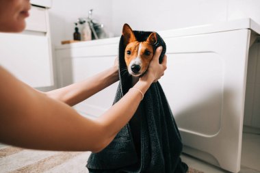 Genç bir kadın banyo yaptıktan sonra köpeğini havluyla kurutuyor..