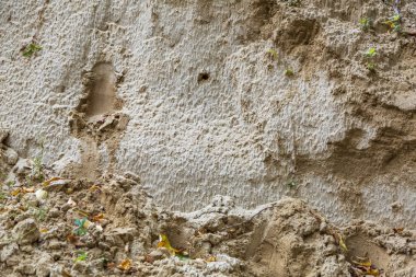 Sarı kum, sonbahar yaprakları ve bitkilerin dokulu olmayan yüzeyi